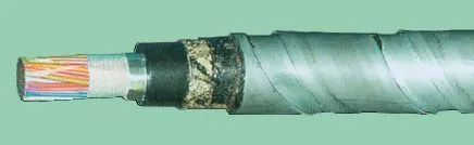 Кабель ТПппПБГ 300х2х0,4